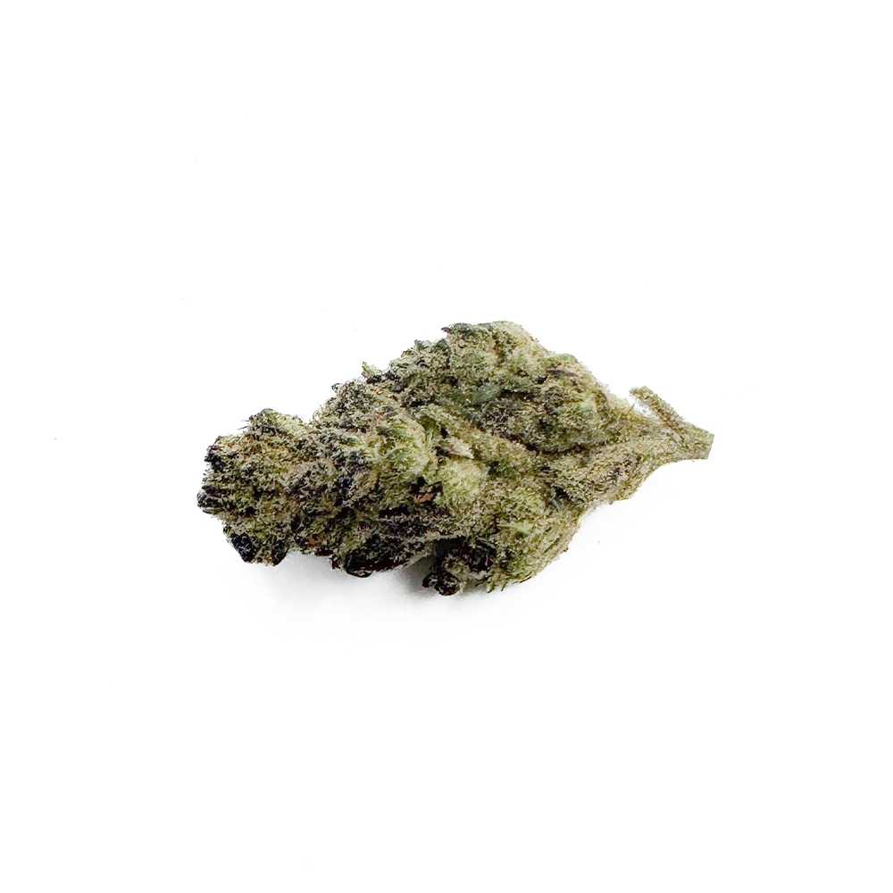 Purple Hashplant