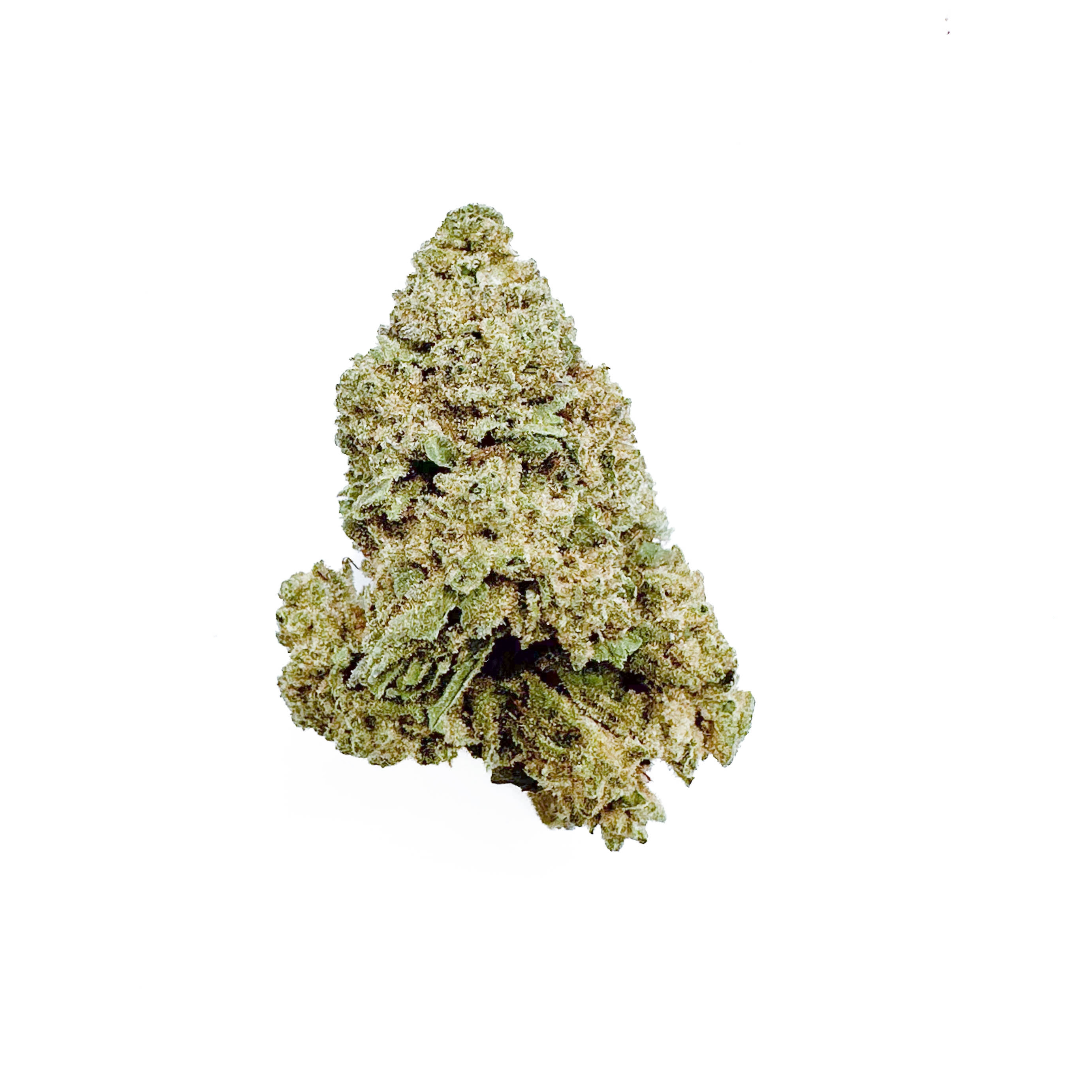 Jamaican Pearl