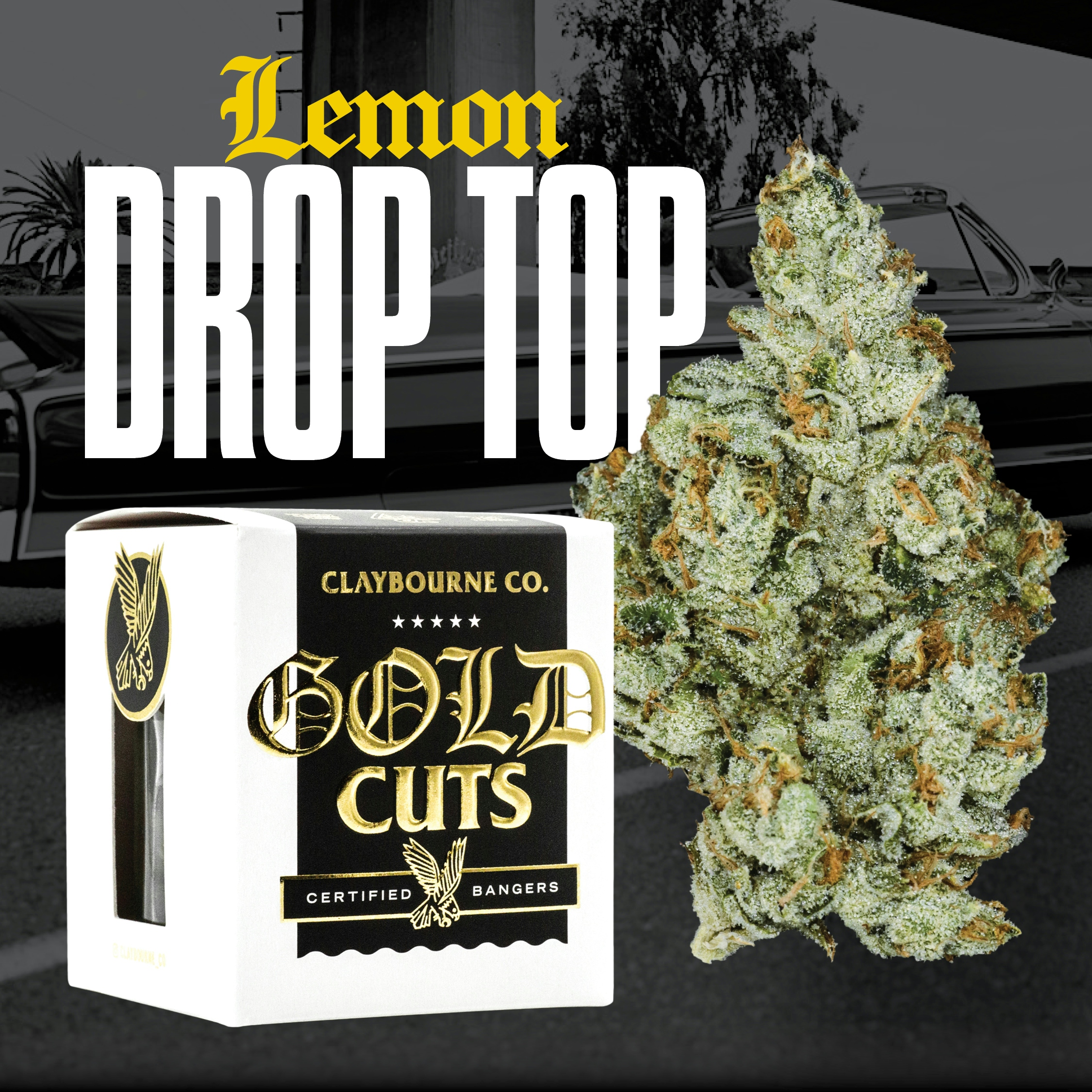 Lemon Drop Top